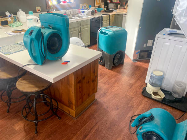 Best Water damage restoration insurance claims  in Owens Cross Roads, AL