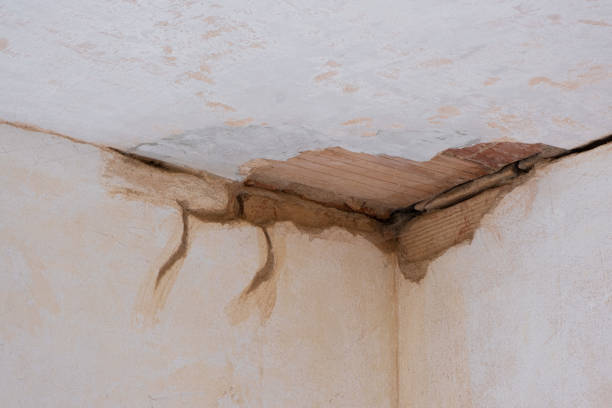 Water damage restoration mold remediation in AL