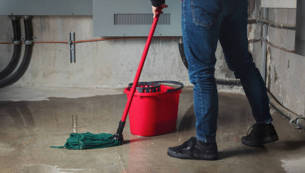 Best Water damage contractors near me  in Owens Cross Roads, AL