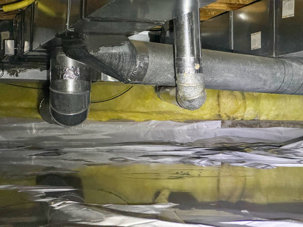 Best Carpet water damage restoration  in Owens Cross Roads, AL