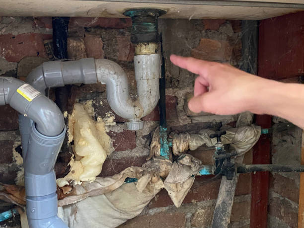 Best Sewage cleanup and water damage restoration  in Owens Cross Roads, AL