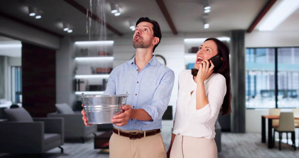 Professional Water damage restoration in AL