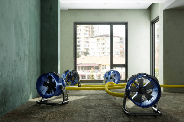 Best Commercial water damage restoration  in Owens Cross Roads, AL