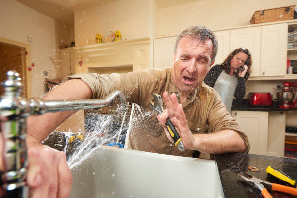 Best Flooded house restoration  in Owens Cross Roads, AL